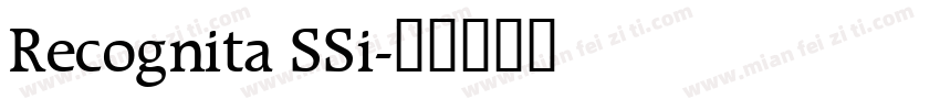 Recognita SSi字体转换